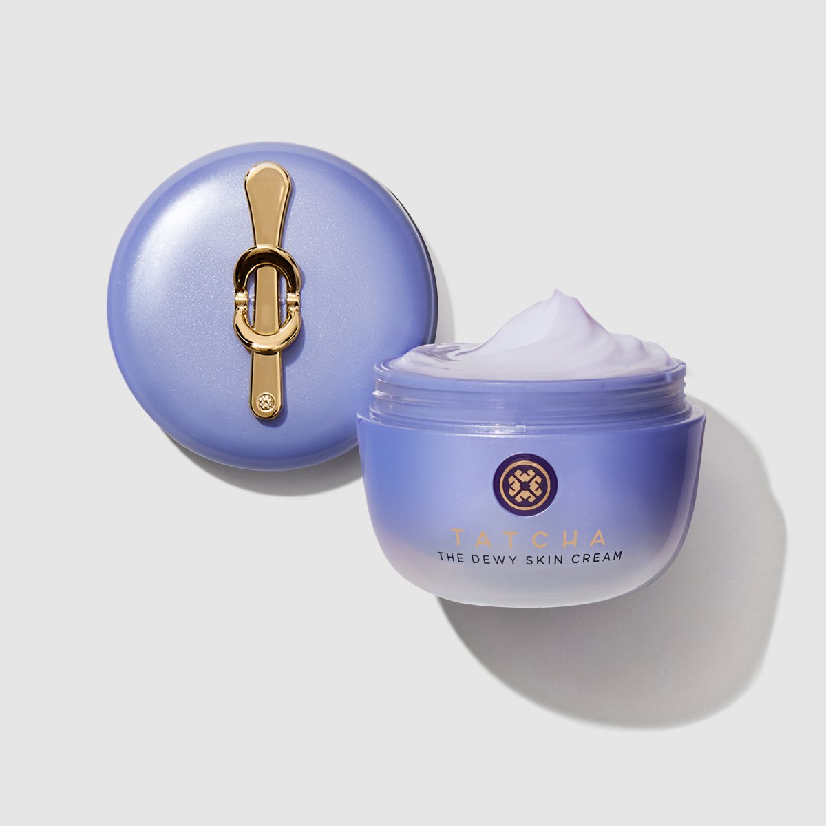 The Dewy Skin Cream Replenishing and Plumping Moisturizer