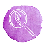 purity promise icon traceable